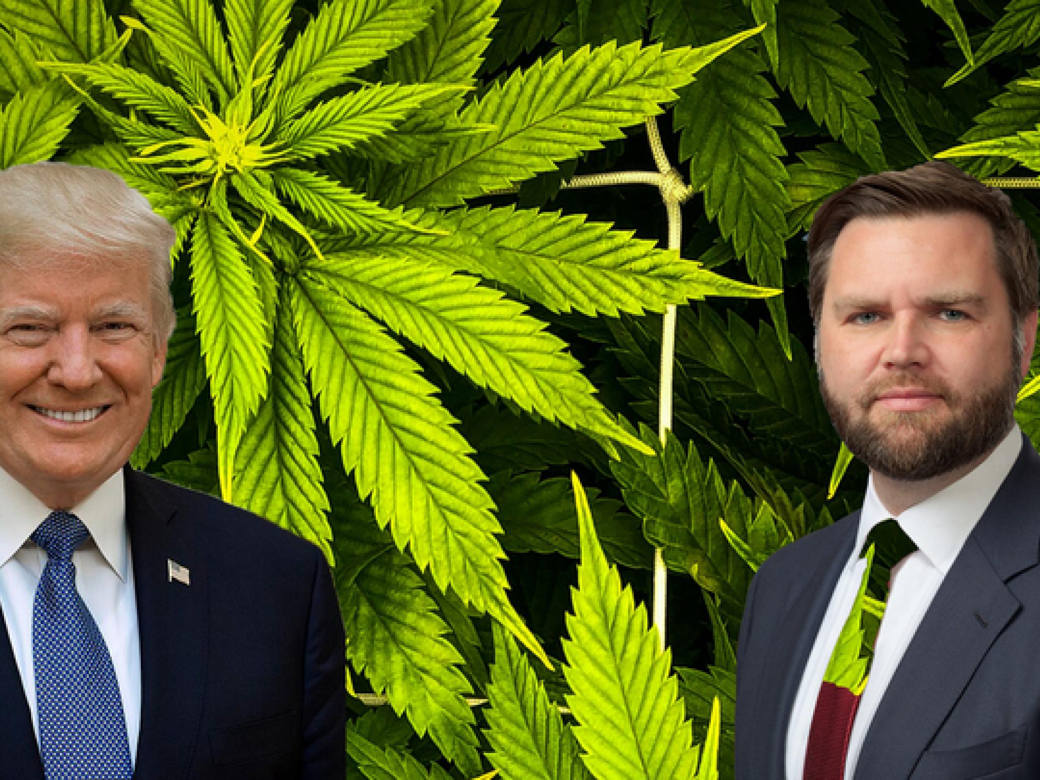 Trump’s Running Mate JD Vance On Cannabis Legalization And Banking Reform: Not Quite Yes, But Not Exactly No